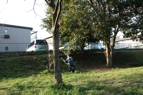 d0070702_22371796.jpg