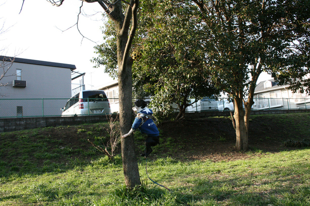 d0070702_22375593.jpg