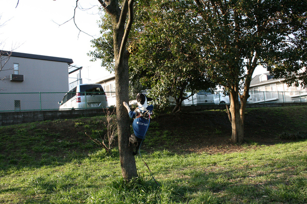 d0070702_22382454.jpg