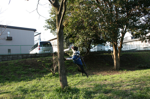 d0070702_22385563.jpg