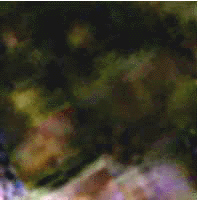 e0103408_1613449.gif