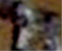 e0103408_1615093.gif