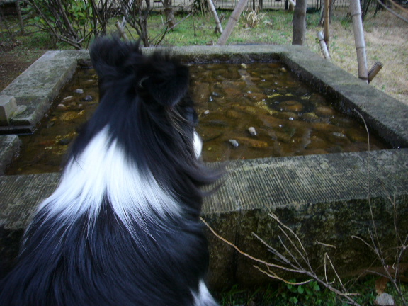 e0130008_23171557.jpg
