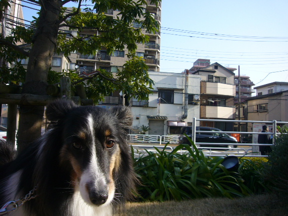 e0130008_23235697.jpg