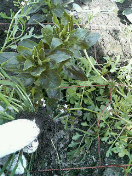 f0127408_23161963.jpg