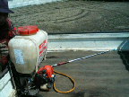 f0127408_23161979.jpg