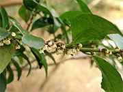 f0191517_14432082.jpg