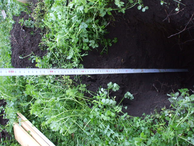 b0096418_18362658.jpg