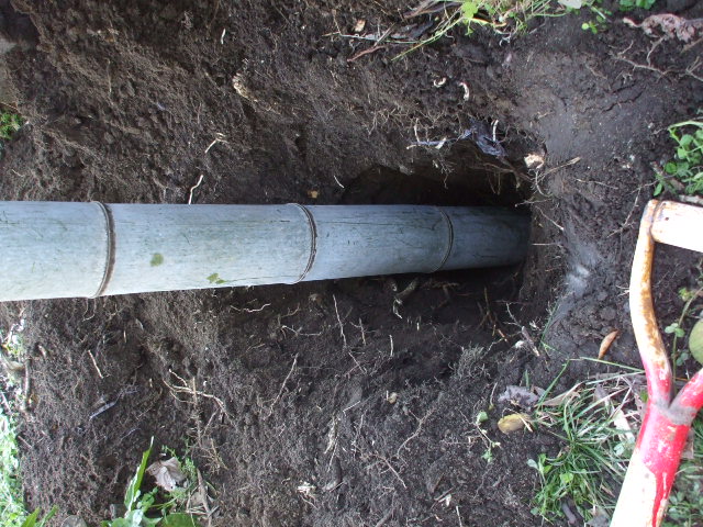 b0096418_18381793.jpg