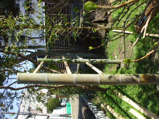 b0096418_1839182.jpg