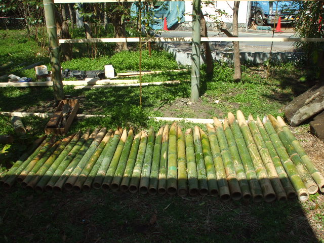 b0096418_1848527.jpg