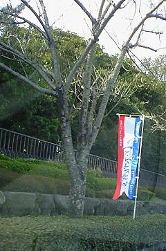c0097620_23355092.jpg