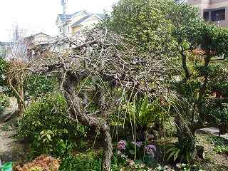 b0008825_21505895.jpg