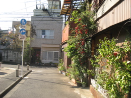 a0167134_130643.jpg