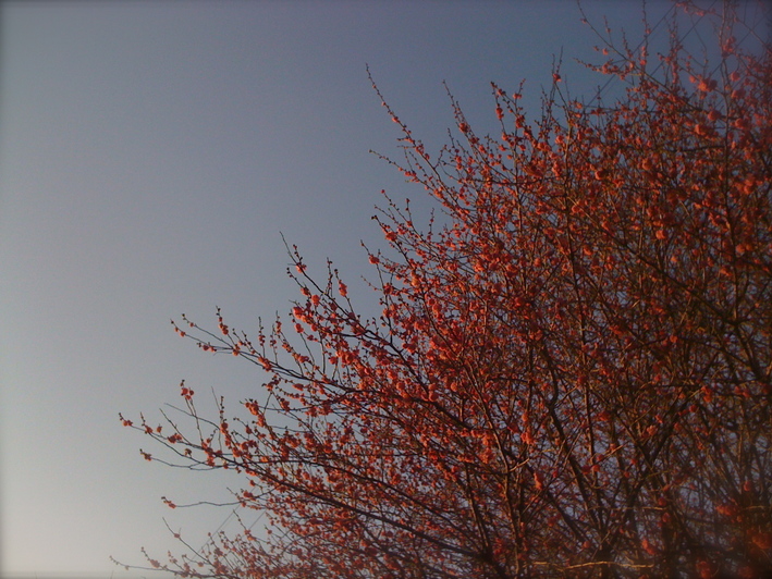 a0072337_1975132.jpg