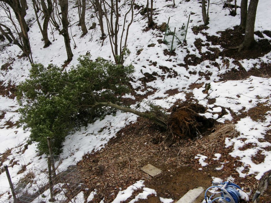 f0090444_22511350.jpg