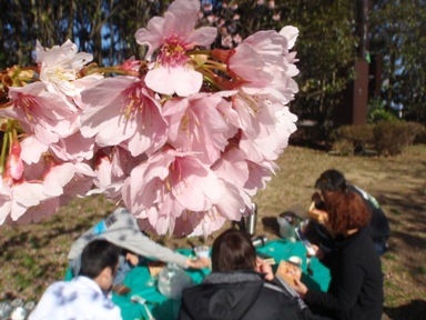 e0065350_0297.jpg