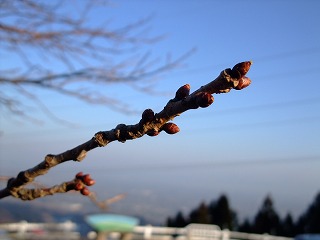 c0208355_18131115.jpg