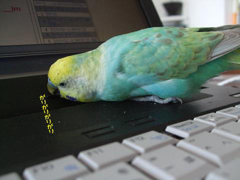 f0149057_23363510.jpg