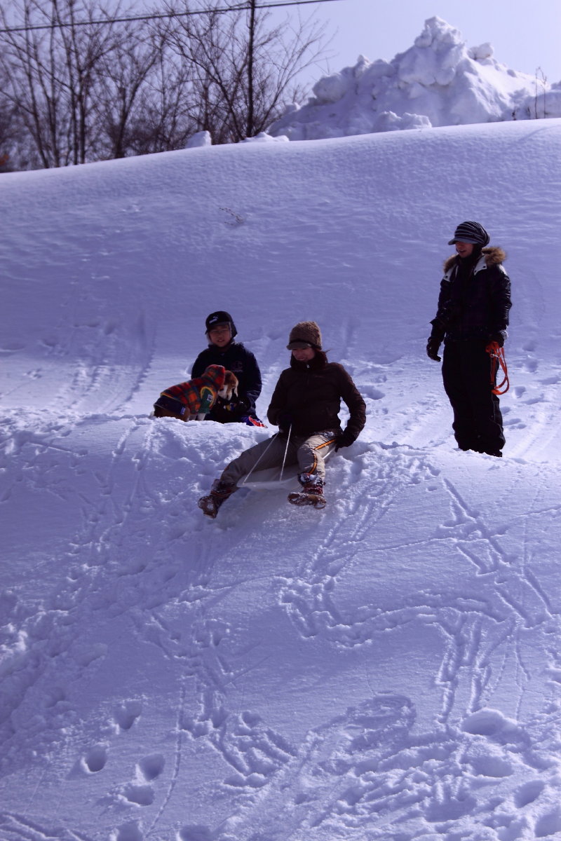 f0218159_2322171.jpg