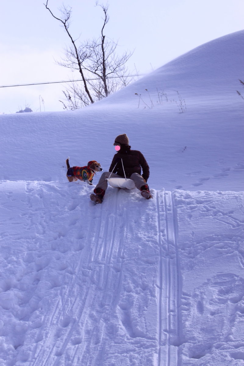 f0218159_2382011.jpg