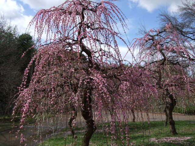 f0203260_23184220.jpg