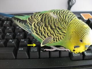 f0196665_01342.jpg