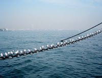 f0026475_13294752.jpg