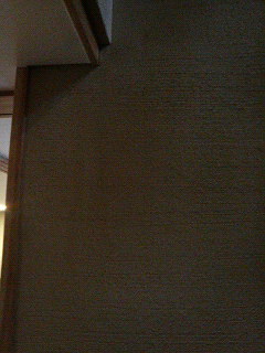 d0005380_13593956.jpg