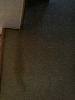 d0005380_1412260.jpg