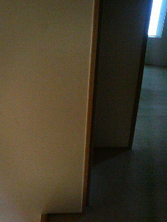 d0005380_14136.jpg