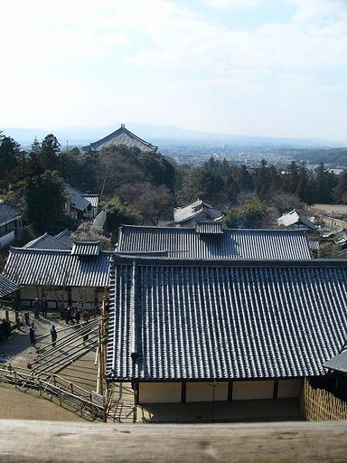 a0147281_14254569.jpg