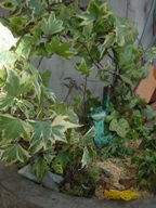 c0057781_12343127.jpg