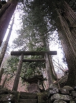 c0226487_1520054.jpg