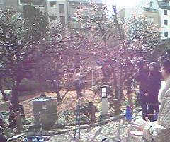 a0146493_21471612.jpg
