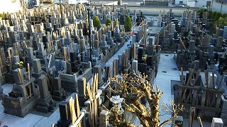 e0084195_2241799.jpg
