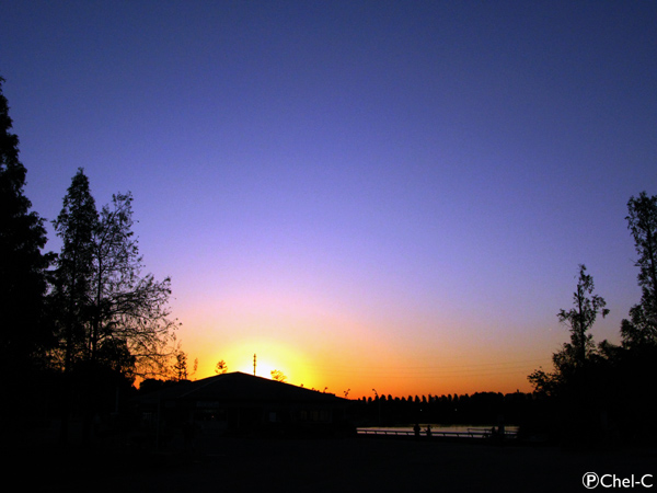 a0154706_13301085.jpg
