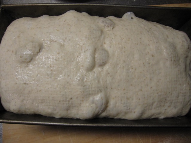 f0159406_18281510.jpg