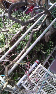 c0022913_18511472.jpg