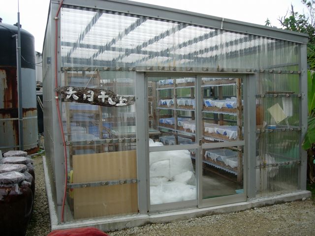 c0213619_1220244.jpg