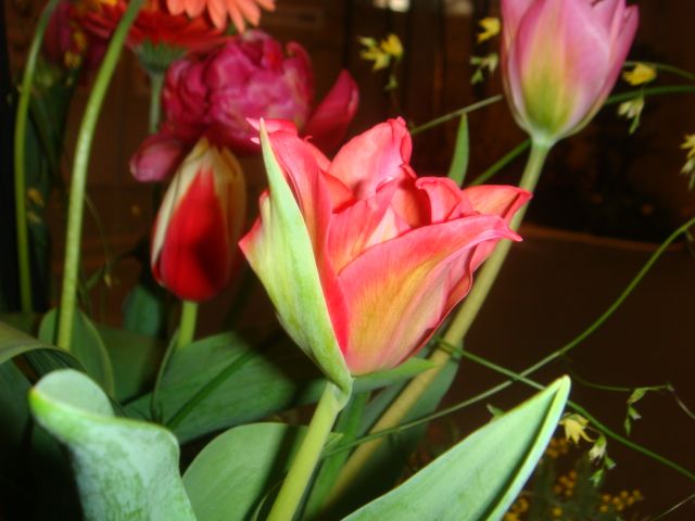 c0219220_85512.jpg
