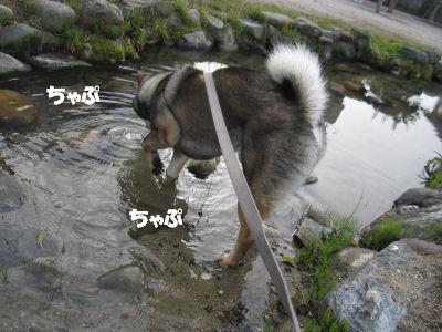 f0143123_20203662.jpg