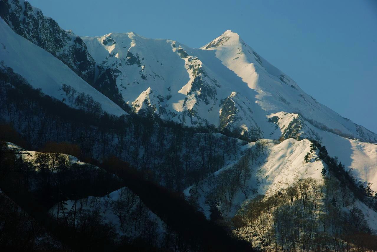 b0062024_7583679.jpg