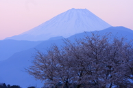 f0081726_2216452.jpg