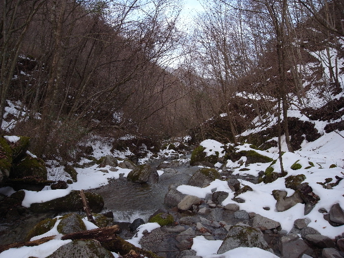 f0103126_20305074.jpg