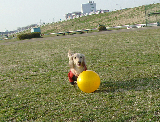 c0117831_10503764.jpg