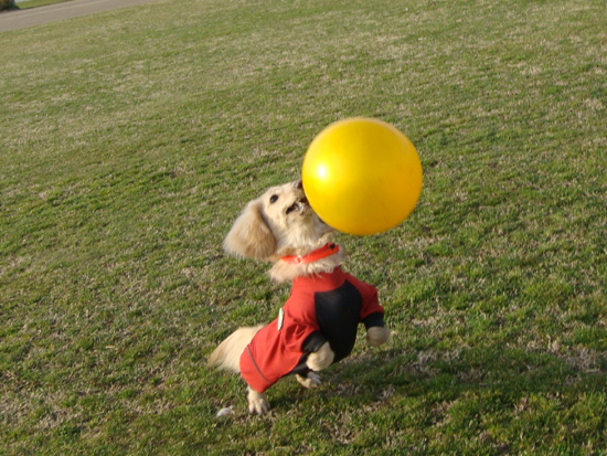 c0117831_1051518.jpg