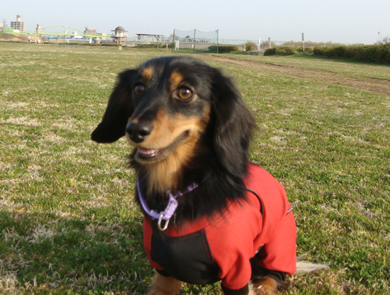 c0117831_10533810.jpg