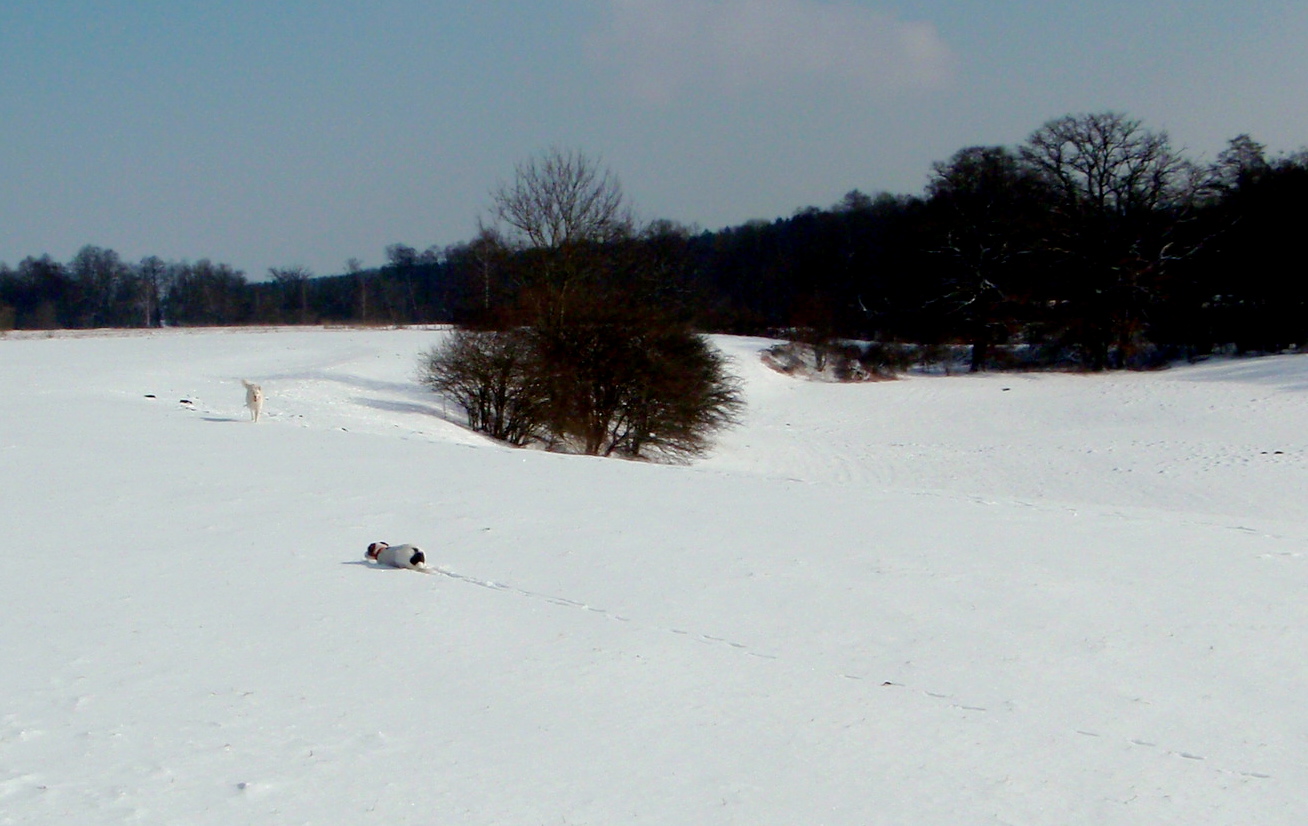 a0128333_18423774.jpg
