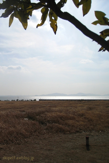 c0134734_14395198.jpg